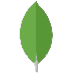 SectionImage